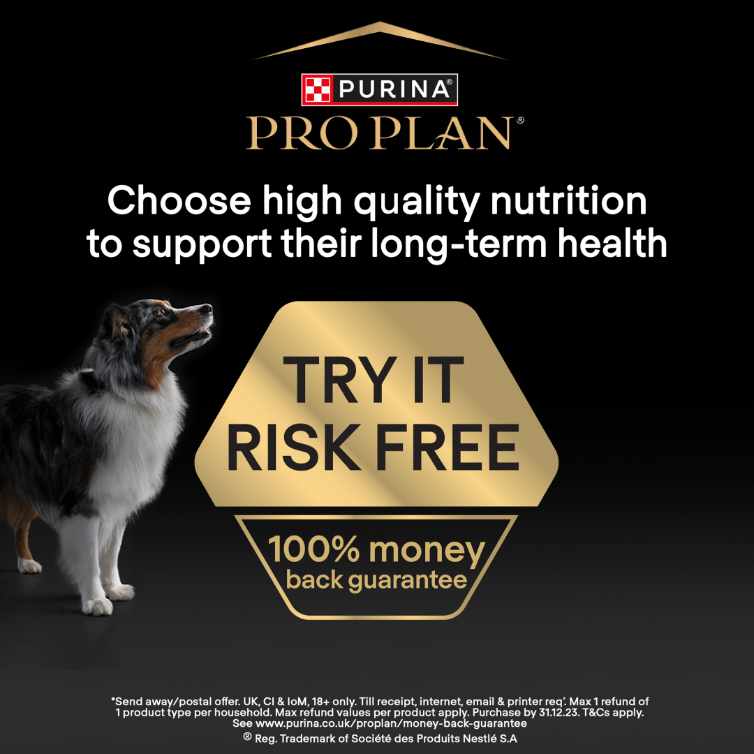 Purina pro plan puppy small hot sale and mini